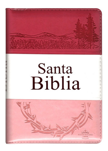 Imagen 1 de 10 de Biblia Rvr1960 Letra Grande Imit Piel Triotone Cierre/índice