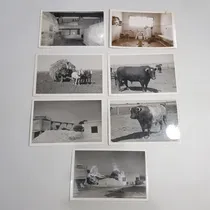 Comprar Antiguas Postales Estancia Y Canteras Córdoba Lote Mag 60948