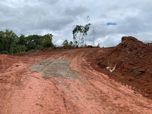 Imagem 20 de 29 de Sb- Vende- Se Lindo Terreno Amigo ! Compre Meu Terreno