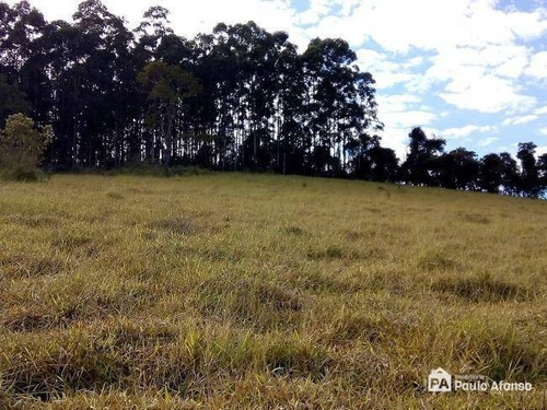 Imagem 3 de 16 de Sítio À Venda, 446000 M² Por R$ 850.000,00 - Zona Rural - Caldas/mg - Si0009