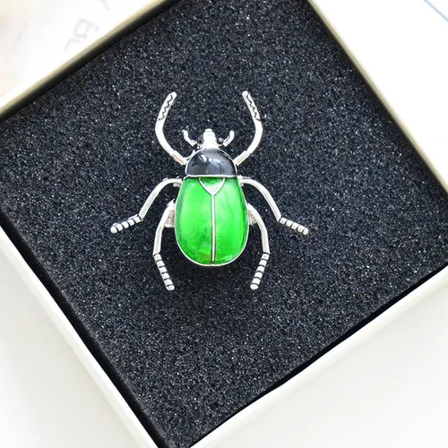 . Broche De Escarabajo For Insectos, Chales, Insectos,