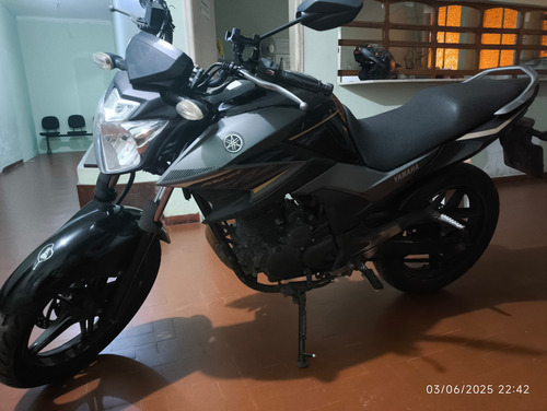 Yamaha Fazer 250/blueflex