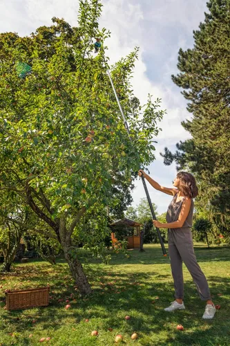 Mango Telescópico Gardena Combisystem 210-390 Cm