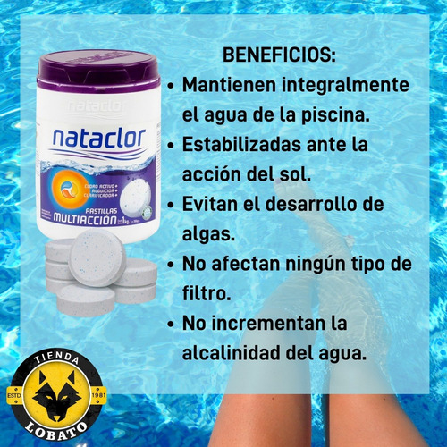 Imagen 4 de 10 de Kit Pastillas Boya Nataclor Cloro Triple Accion 1kg Piletas
