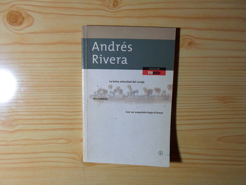 La Lenta Velocidad Del Coraje - Andres Rivera