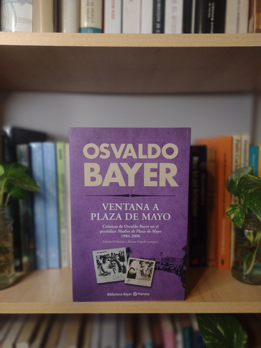 Osvaldo Bayer. Ventana A Plaza De Mayo.