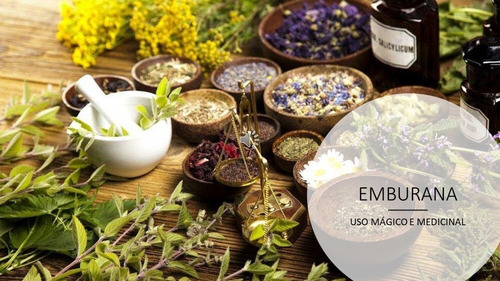 Emburana Sementes Para Chá 100 Gr