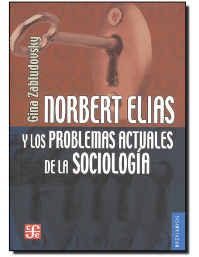 Norbert Elias Y Los Problemas Actuales De La Sociologia