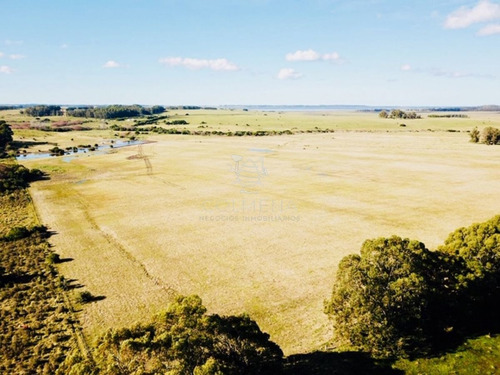 Imagen 9 de 13 de Campo De 20 Has Muy Cerca Del Faro Jose Ignacio - Consulte !!!!!! - Jose Ignacio