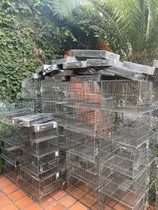 Comprar Jaulas Chinchilla, Conejo, Cobayos, Codornices Y Mas...