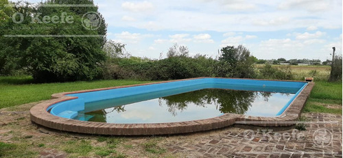 Imagen 6 de 28 de Quinta En Venta En Abasto, Con Casa De Campo Sobre Lote De 26.103 M2