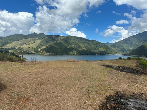 Lote Lago Calima Mirador 360o.