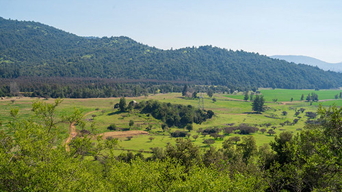 Imagen 7 de 20 de Lomas De Huemul