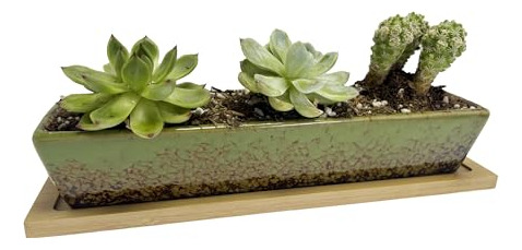 Maceta Rectangular Larga De Cerámica Verde De 9.8 Pulgadas P