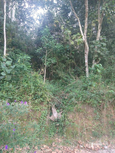 Terreno À Venda, 960 M² Por R$ 265.000,00 - Jardim Dos Ypês - Embu Das Artes/sp - Te0275