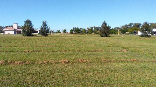 Imagen 5 de 17 de Terreno - Coronel Brandsen