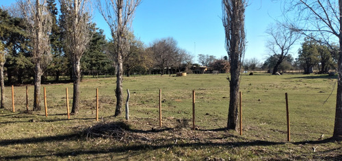 Venta Hermosa Casa Quinta 6 Hectáreas - Chacra En Gualeguay