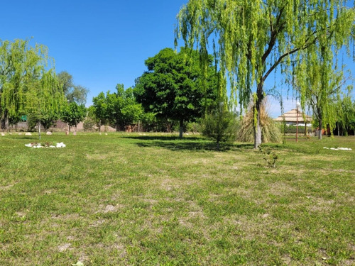 Complejo De Cabañas En Venta - 3 Ufs - Mendoza