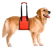 Comprar Arnés De Rehabilitación  Acolchado Perro Ortopedia Displacia