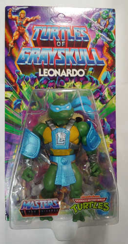 Turtles Of Grayskull Motu Tmnt Leonardo