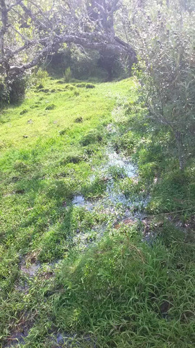 72 Hectáreas En Cuchilla Juan Gomez