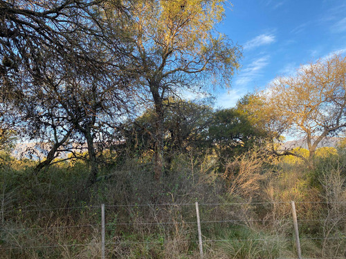 Terreno En Los Molles