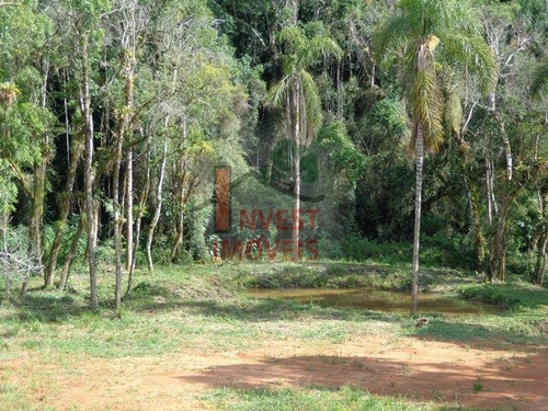 Imagem 9 de 11 de Terreno - Ref: 3211 - V-3211