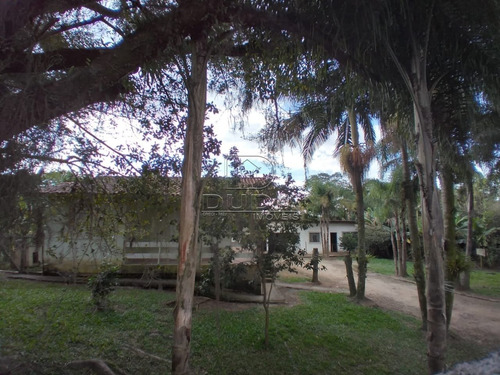Imagem 7 de 15 de Sitio - Recanto Verde - Ref: 34104 - V-34101