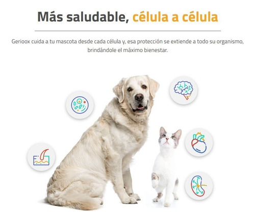 Geriox Suplemento Vitaminico Para Perro Y Gato Senior 30 Tab