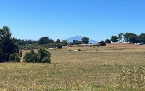 Campo En Las Quemas Pto Montt A Orillas Del Rio Maullin 