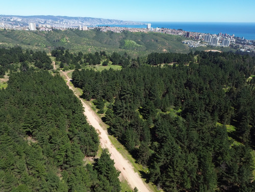 Terrenos Para Inversión En Camino Internacional, Viña