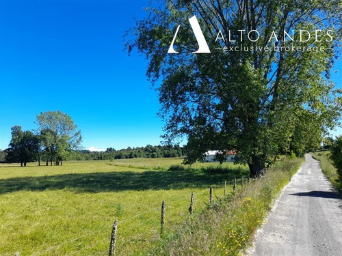 Imagen 13 de 18 de Sitio En Venta En Puyehue