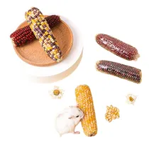 Comprar Mordedores De Maíz  Hamster Jerbos Roedores Ratas 6- 8 Cms