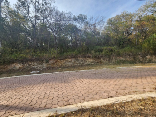 Venta Lote Gladiola 31 Muy Cerca De La Entrada Y En Nueva Zona De Fracc Rancho San Diego Ixtapan De La Sal Edomex Con Todos Los Servicios Y Proyecto Incluído
