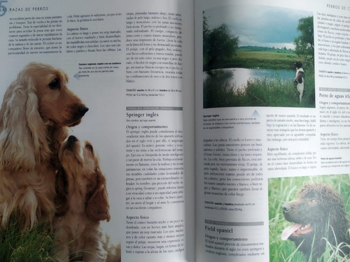 Imagen 5 de 8 de Larousse Del Perro
