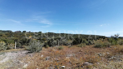 Terreno En Venta En Santa Lucia, San Juan Del Río, Querétaro.