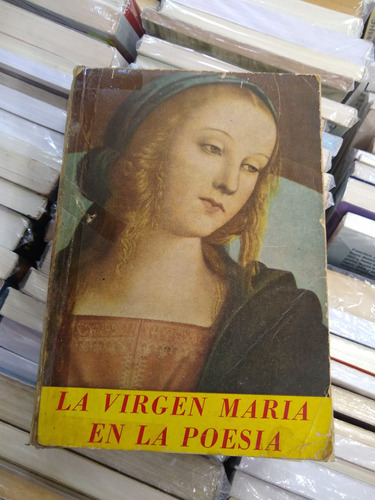 La Virgen María En La Poesía Pablo Schneider