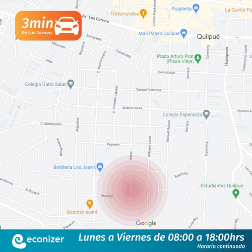 Imagen 4 de 6 de Pack 2 Unidades De Iones 500cc + 10 Test De Cobre Econizer