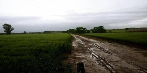Imagen 6 de 6 de Casa Campo En Venta En Pilar, G.b.a. Zona Norte