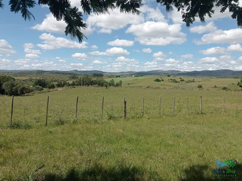 Imagen 13 de 20 de Vendo Chacra 5 Hectateas Con Casa En Ruta 39, Las Cañas - Las Cañas Las Cañas