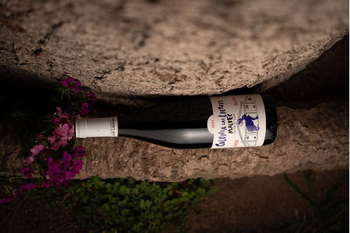 Vino Orgánico Colonia Las Liebres Reserva Malbec Caja X6