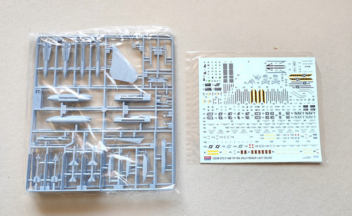 Avion F-14 Tomcat 1/72 Jolly Rogers Molde Nuevo (Usado)
