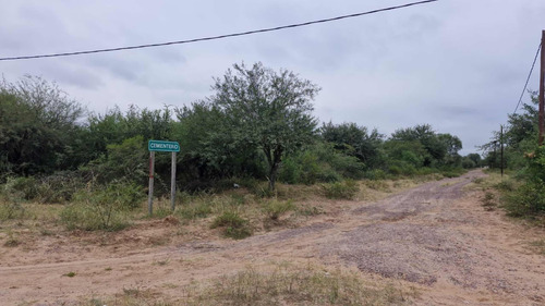 Vendo Campo/hectáreas En Remes Santiago Del Estero
