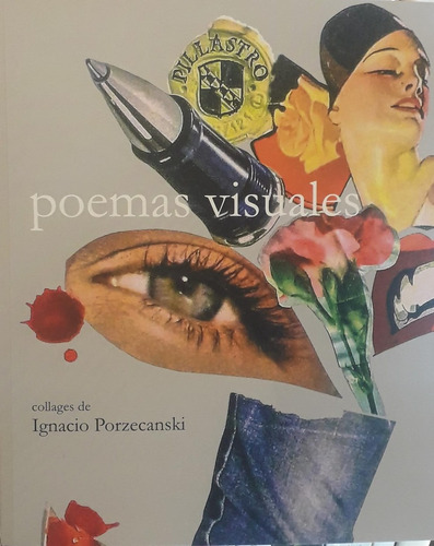 Poemas Visuales, De Ignacio Porzecanski. Editorial Pozodeagua, Tapa Blanda, Edición 1 En Español