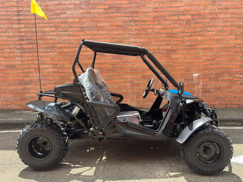 Cuatrimoto Buggie 200 Arenero Nuevo 2025