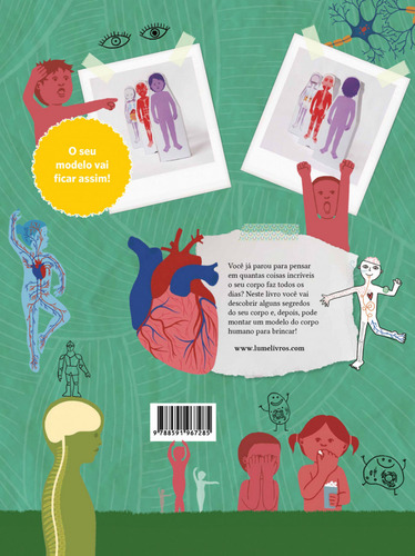 Mini Curiosos Montam O Corpo Humano, De Clarice Uba. Editora Lume, Capa Mole Em Português