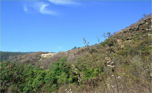 Terreno En Venta En Temascaltepec.