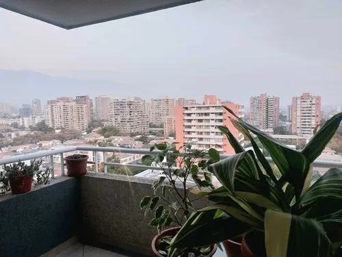 Tegualda Barrio Italia (70046)