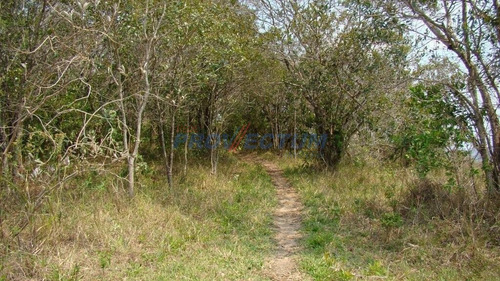 Imagem 5 de 21 de Fazenda À Venda Em Fazenda Paraiso - Fa238982