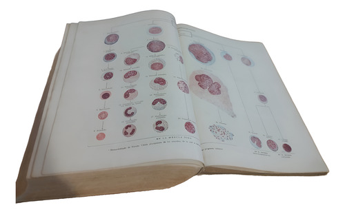 Diccionario De Ciencias Médicas - Dorland (Usado)